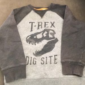 Boys Dino Sweatshirt